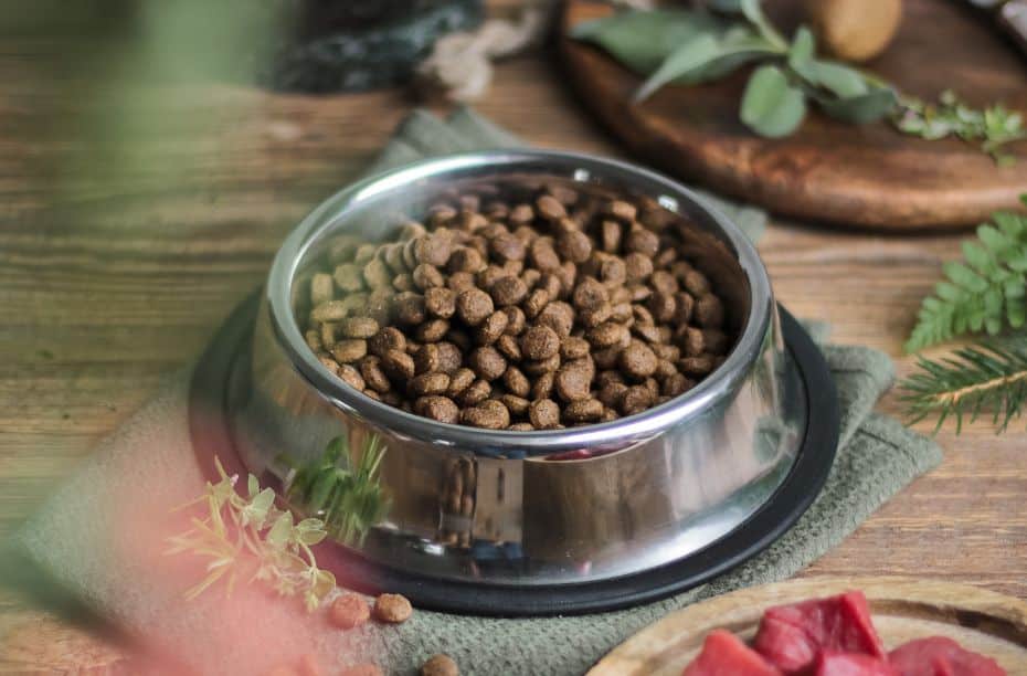 Gevaarlijk voer hond