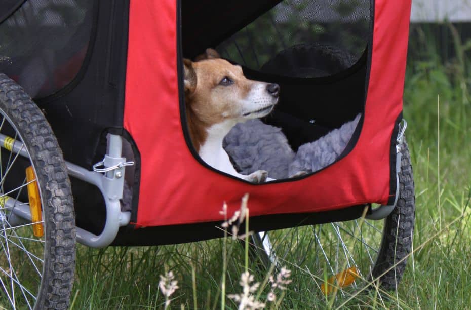 Trixie hondenfietskar