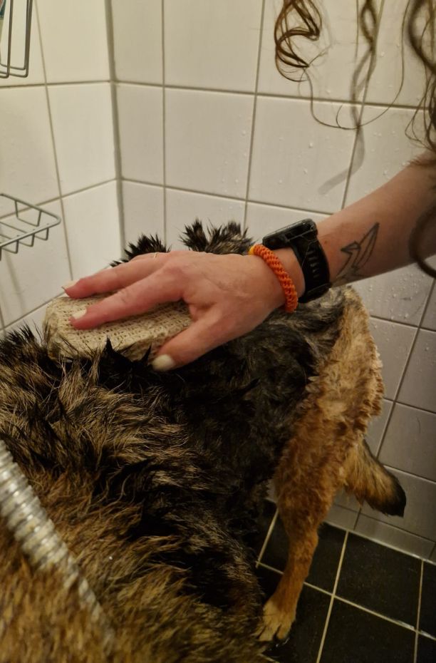 VITALstyle shampoobar