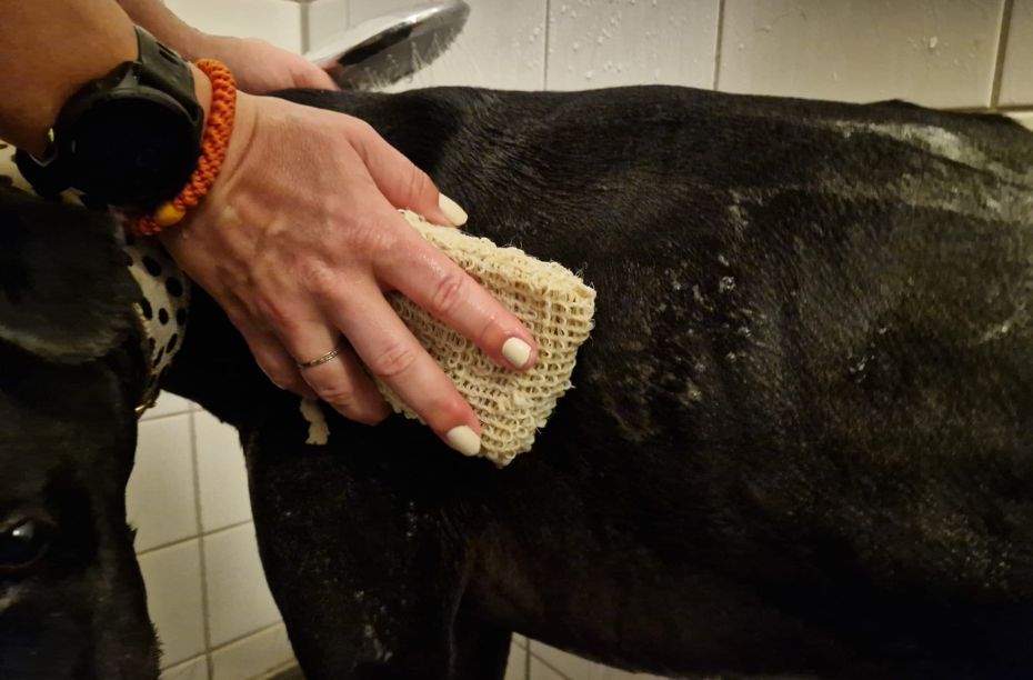 VITALstyle shampoobar