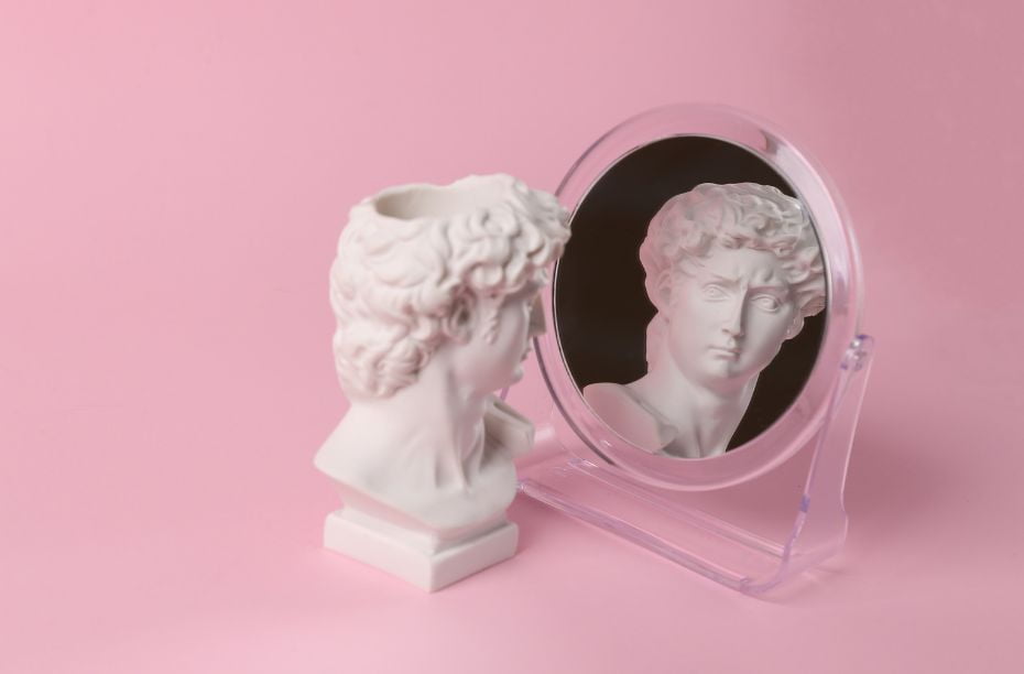 Boeken over narcisme