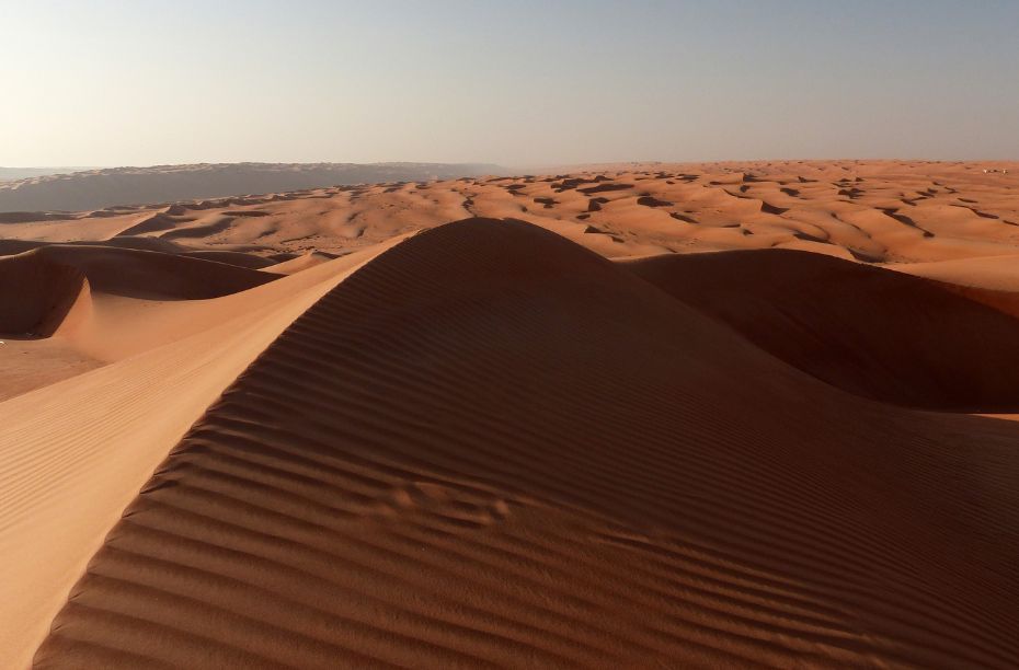 Dune volgorde