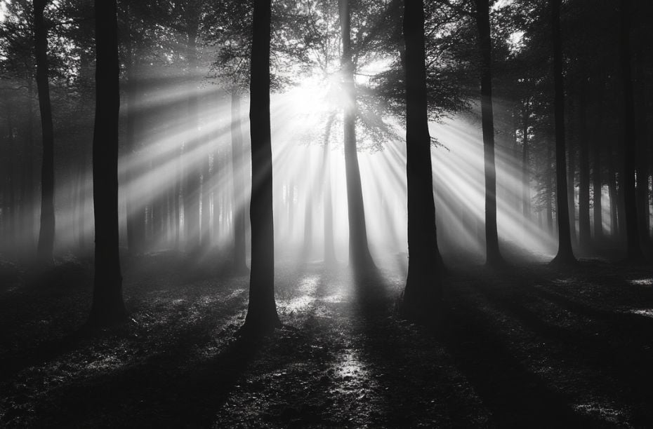 Cold Case kwartet leesvolgorde